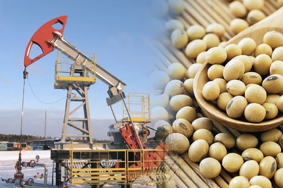 Giá nông sản, dầu thô gặp sức ép