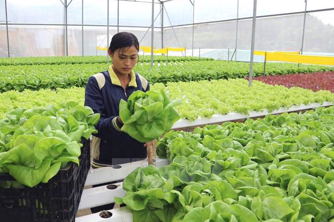 Cảnh báo 9 lỗ hổng nguy cơ cao và nghiêm trọng về an toàn thông tin