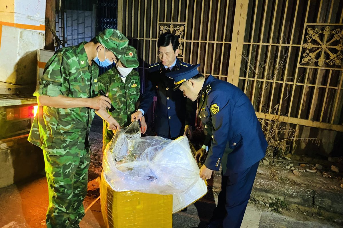 Xử lý nghiêm các trường hợp buôn bán, vận chuyển trái phép lợn qua biên giới vào Việt Nam