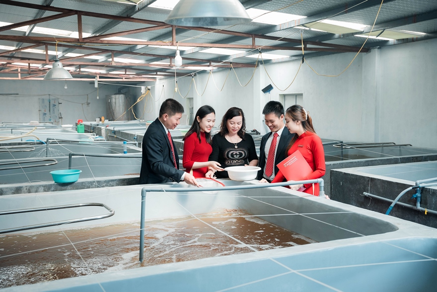 Agribank dành gói tín dụng ưu đãi 3.000 tỷ đồng cho lĩnh vực lâm, thủy sản