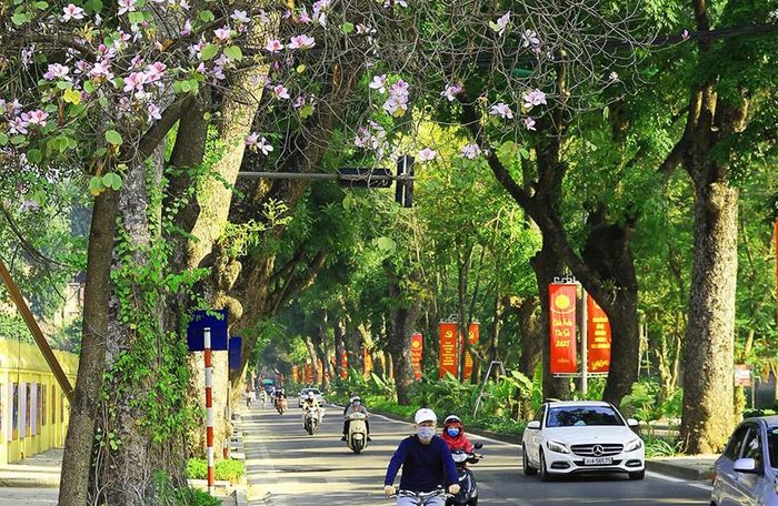 Dự báo thời tiết ngày 21/9: Hà Nội nắng nóng, đêm có mưa rào vài nơi
