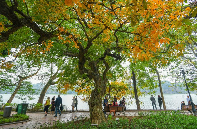 Dự báo thời tiết ngày 17/10/2023: Hà Nội se lạnh về đêm, miền Trung mưa như trút nước