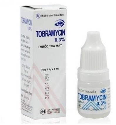 Kiểm tra việc lưu hành thuốc giả Tobramycin