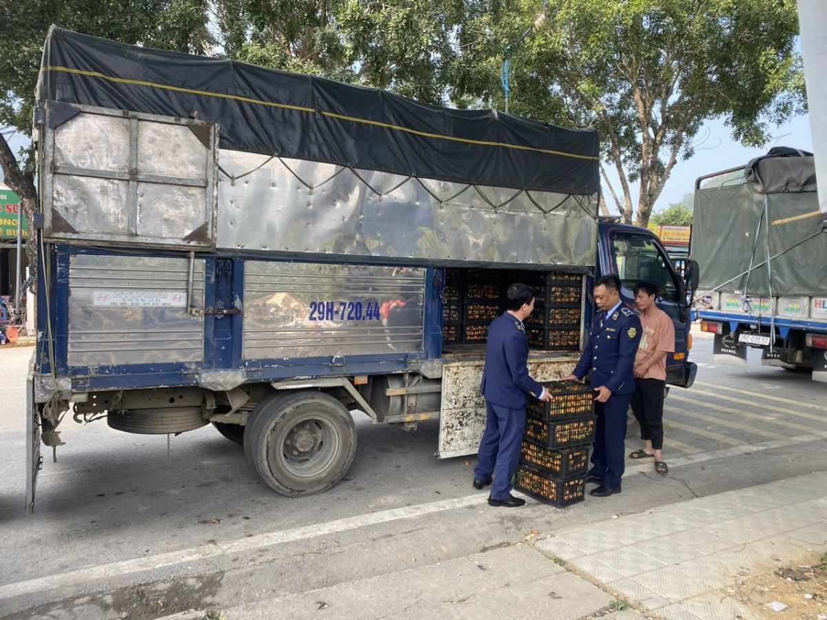Lực lượng QLTT tỉnh Lai Châu kiểm tra hàng hóa vi phạm