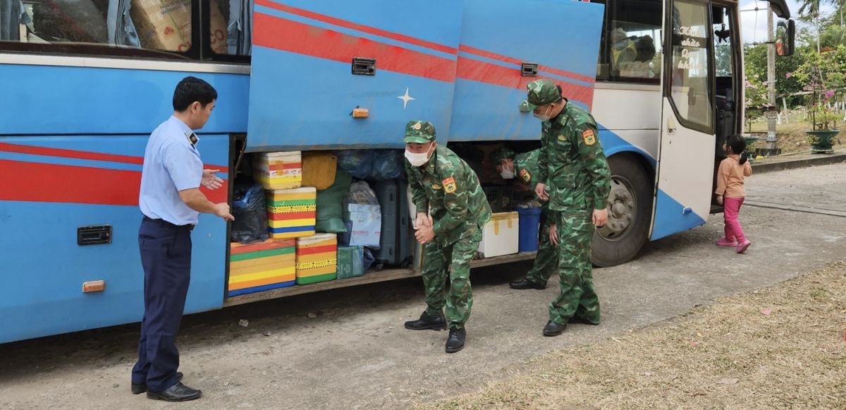 Lực lượng chức năng tỉnh Quảng Trì vừa phối hợp, giám sát buộc tiêu hủy hàng hóa là 650 cái quần xô giả mạo nhãn hiệu