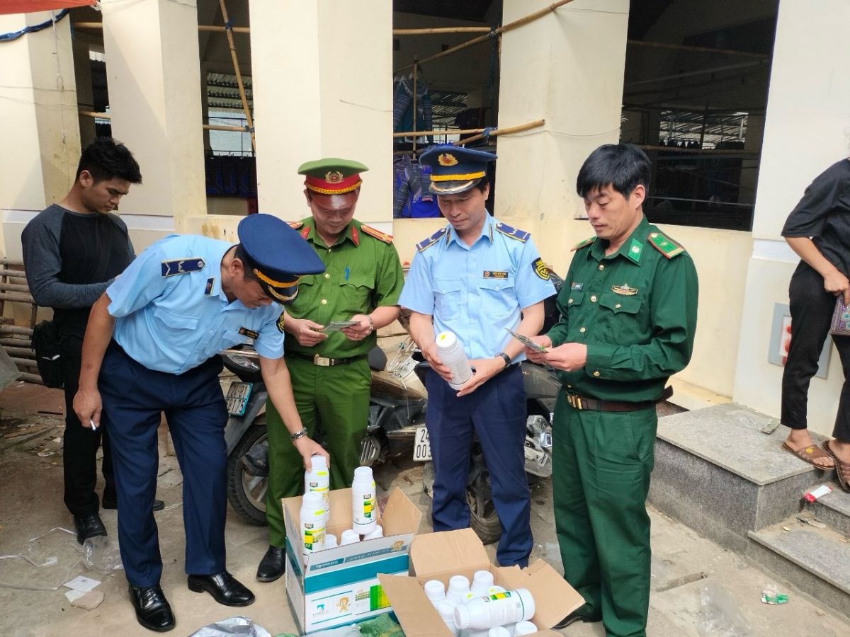 Đội QLTT số 1 phối hợp với Đồn Biên phòng Pha Long và Công an huyện Mường Khương thu giữ thuốc BVTV tại Chợ phiên Pha Long