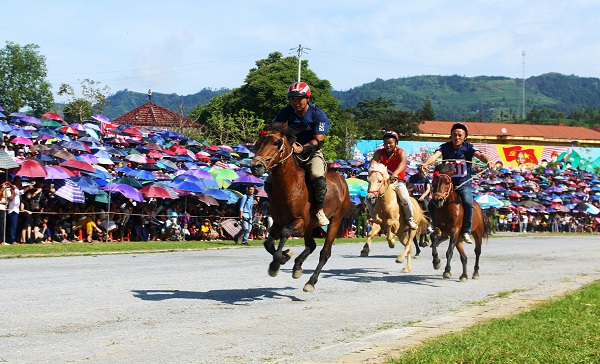 Lễ hội đua ngựa Bắc Hà.