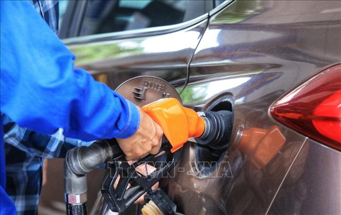 Doanh nghiệp tư nhân xăng dầu Bảo Phương bị phạt 204 triệu do kinh doanh xăng RON 95-III không đúng quy chuẩn