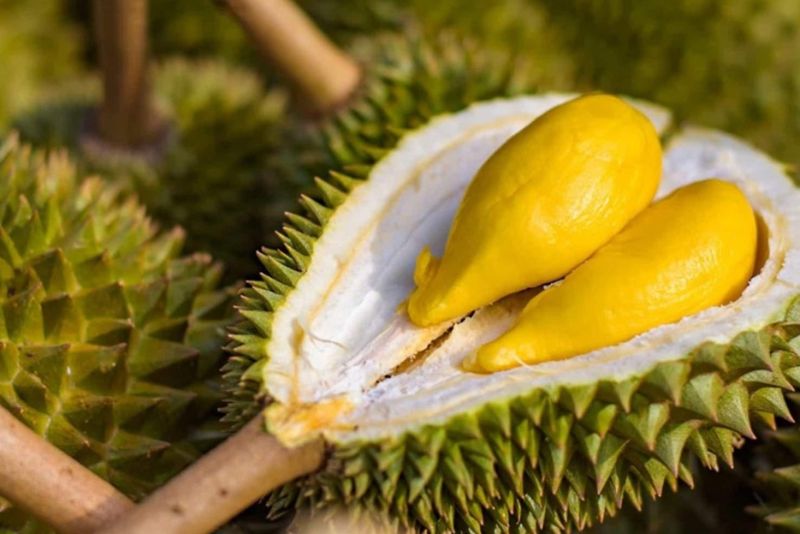 Giá sầu riêng hôm nay 21/8: Sầu Thái tăng trở lại