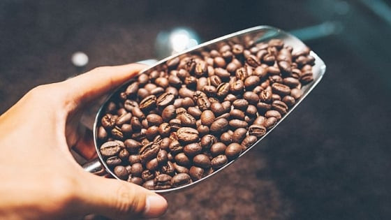 Giá cà phê hôm nay 24/11: Tăng mạnh 2,000 đồng/kg