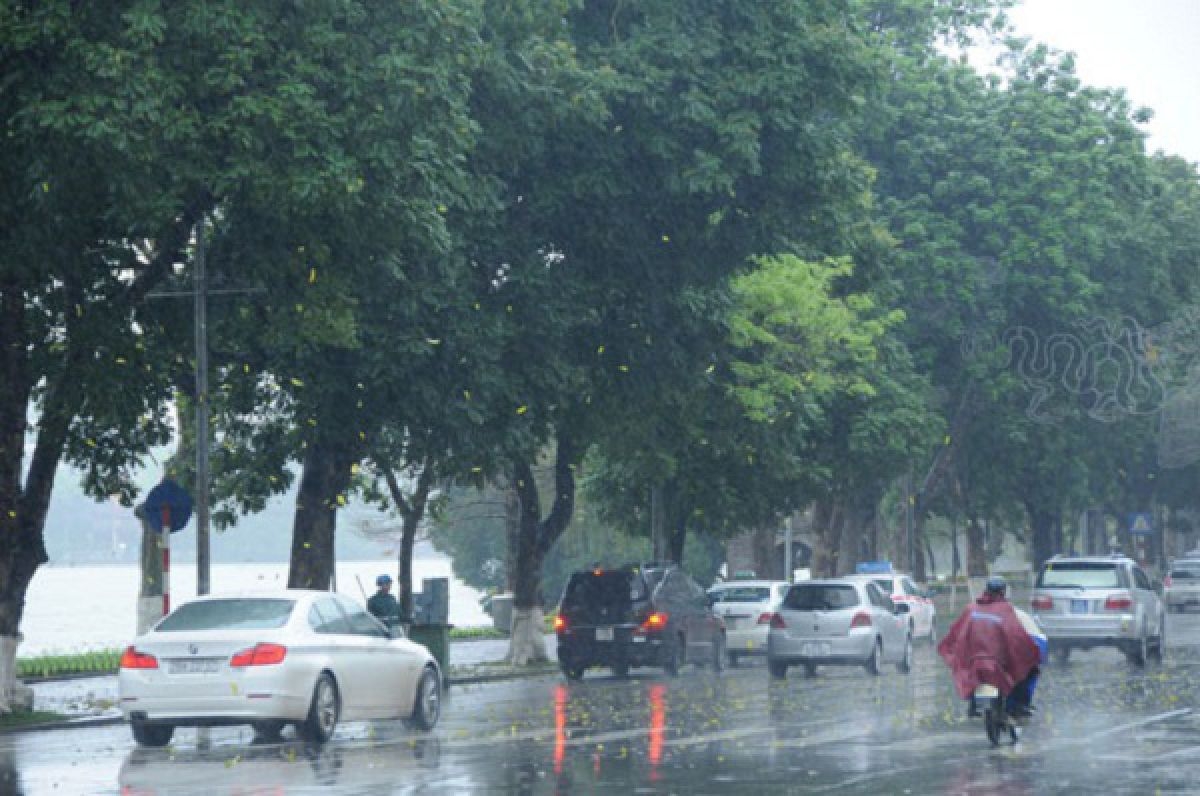 Dự báo thời tiết ngày 20/9/2024: Hà Nội mưa dông, cục bộ có nơi mưa to