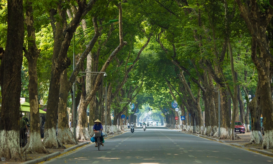 Thời tiết ngày 5/10: Miền Bắc nắng đẹp, Tây Nguyên và Nam Bộ mưa to cục bộ