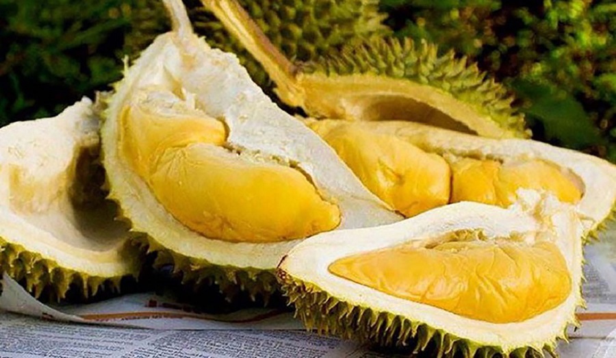 Giá sầu riêng hôm nay 11/12: Thị trường duy trì ở mức cao.