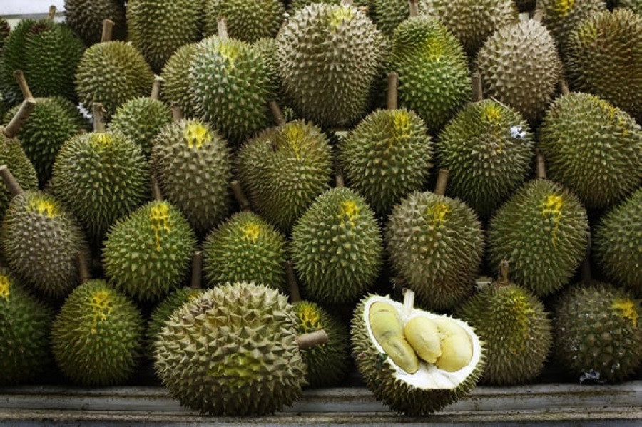 Giá sầu riêng hôm nay 1/2: Thị trường tăng trở lại