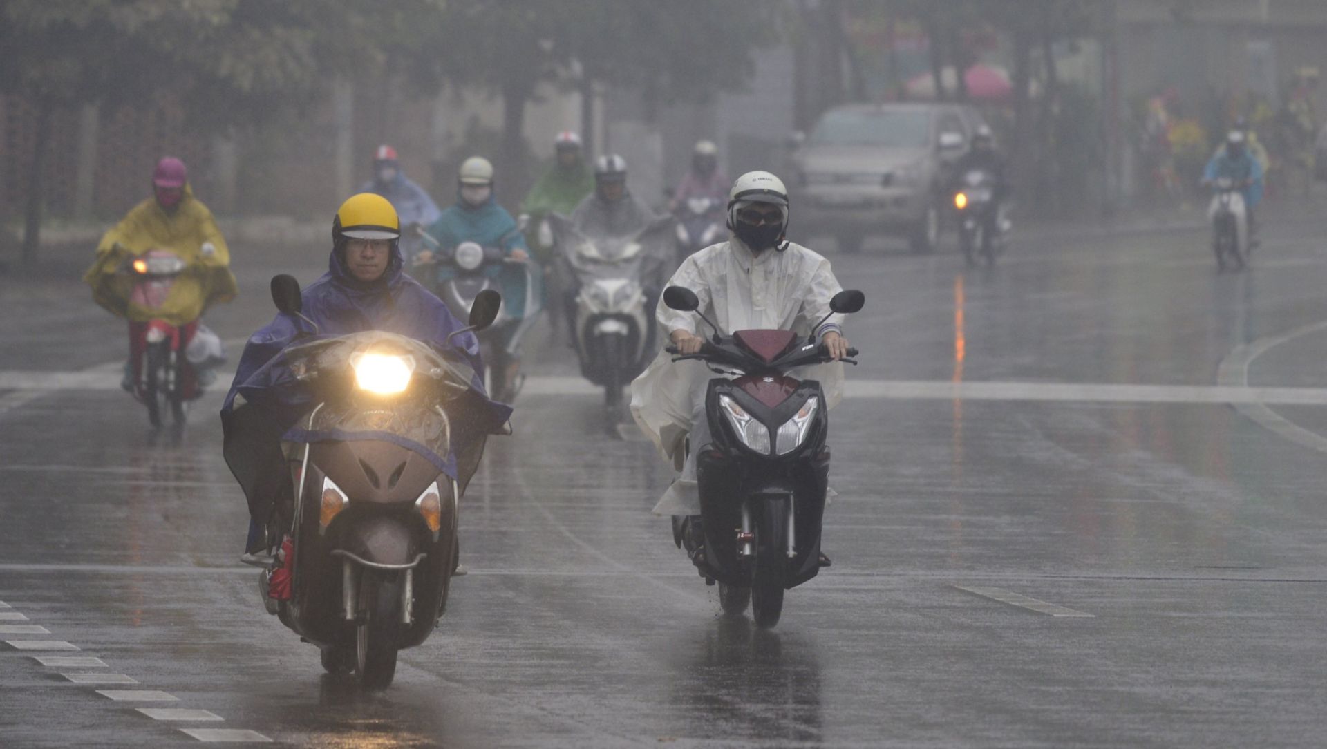 Thời tiết ngày 11/2: Miền Bắc sương mù, mưa phùn
