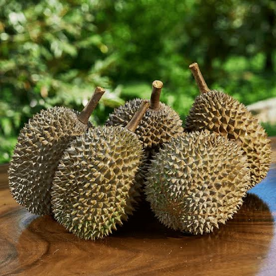 Giá sầu riêng hôm nay 16/2: Thị trường ổn định