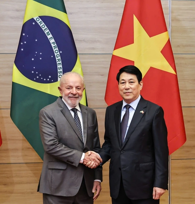 Tuyên bố chung Việt Nam - Brazil