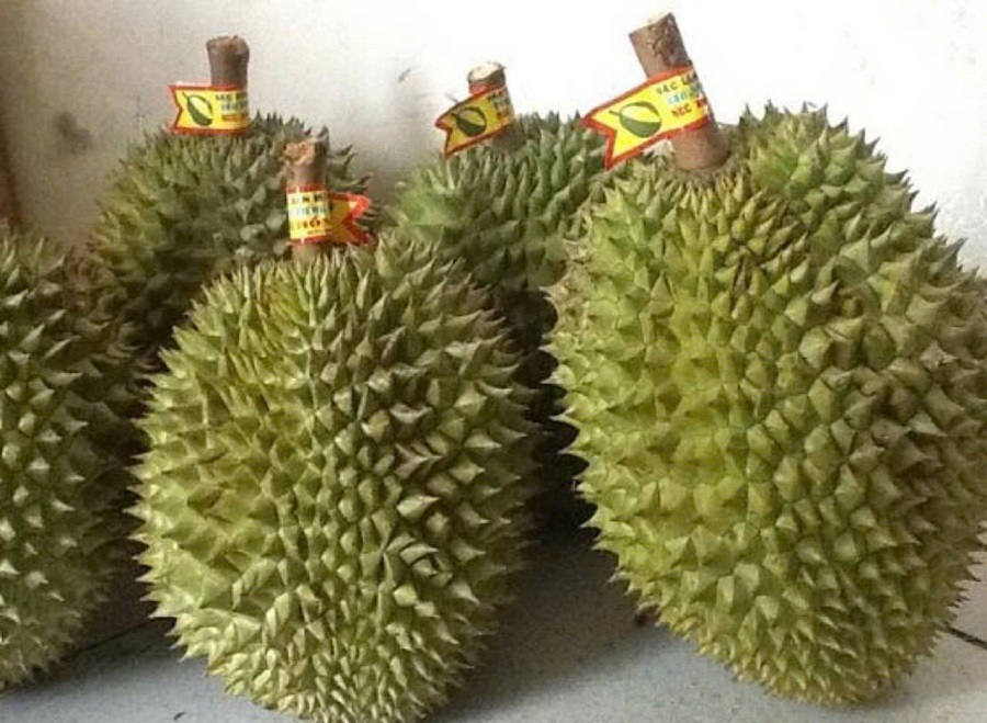 Giá sầu riêng hôm nay 7/4: Thị trường giảm