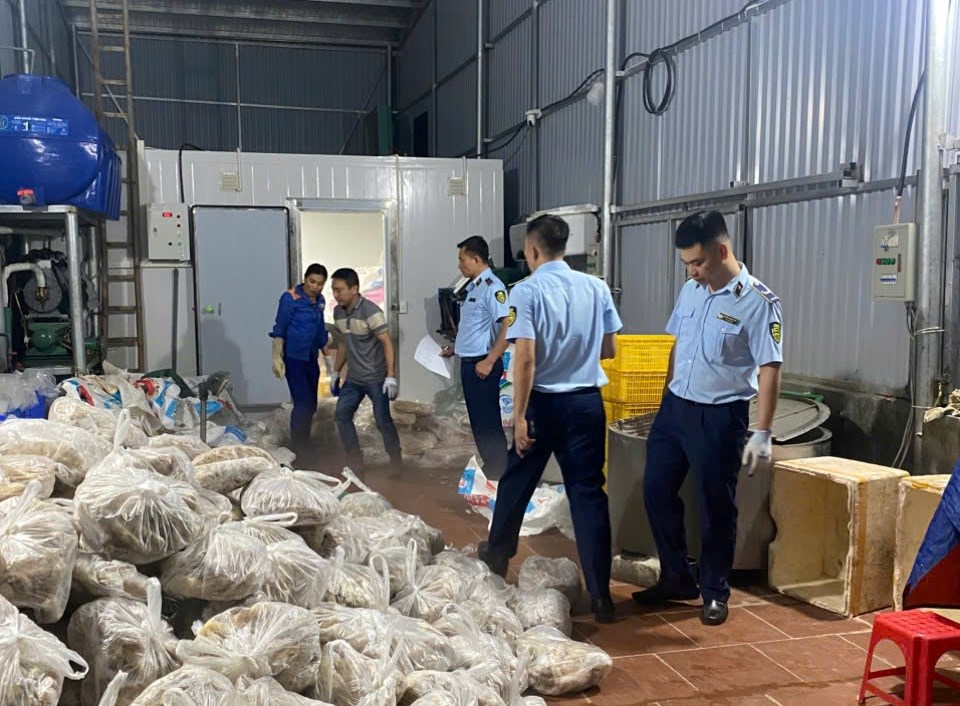 Hà Nội: Phát hiện gần 11 tấn thịt và nội tạng bò không rõ nguồn gốc trong 3 kho lạnh