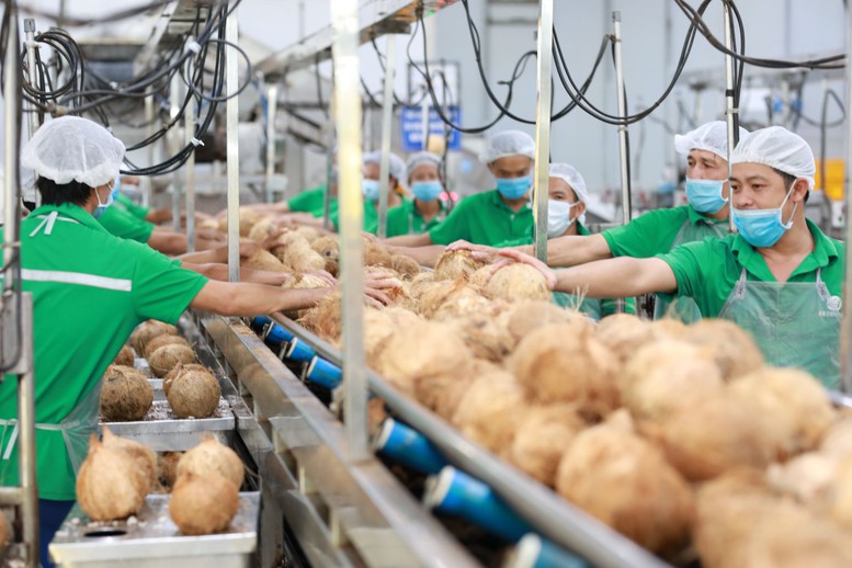 TTC AgriS và Sunga Budi sẽ cùng hợp tác liên doanh trong năm 2025 mở rộng quy mô 300 triệu lít các sản phẩm từ dừa - Ảnh: VGP/MT