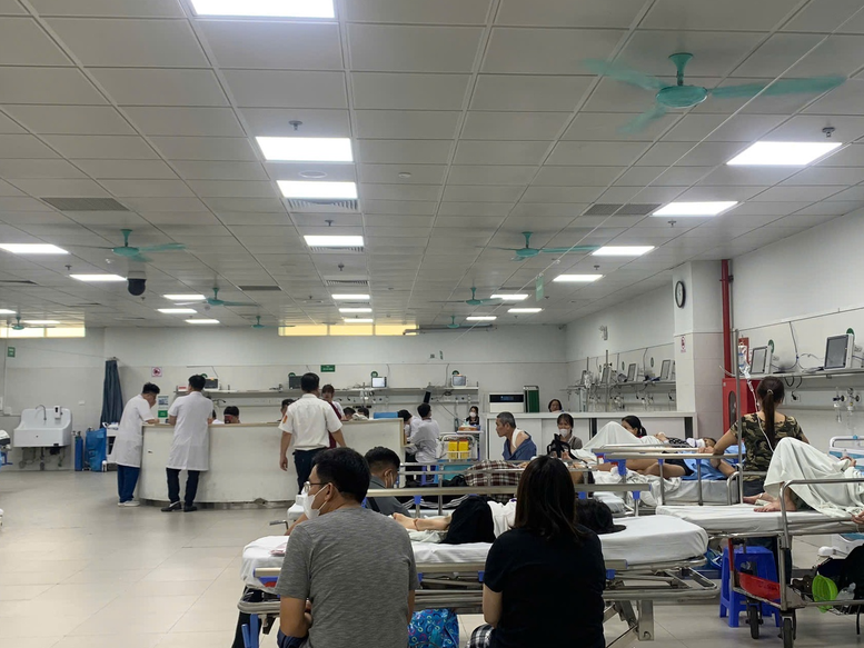 Bác sĩ cũng không thể phân biệt được thuốc giả - thuốc thật - Ảnh: VGP/TH