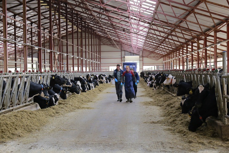 ữa tươi TH true MILK sản xuất tại Nga sử dụng nguyên liệu chế biến hoàn toàn từ nguồn sữa tươi chất lượng hàng đầu của các trang trại công nghệ cao TH tại tỉnh Moscow và Kaluga