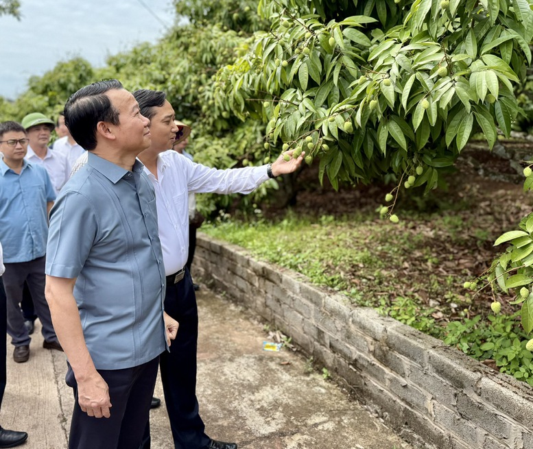 Chủ tịch Tỉnh Bắc Giang Nguyễn Việt Oanh (áo trắng) và Bộ trưởng Đỗ Đức Duy đang bàn về những thay đổi trong ứng dụng sản xuất cũng như thúc đẩy liên kết tiêu thụ vải tại tỉnh Bắc Giang - Ảnh: VGP/Đỗ Hương