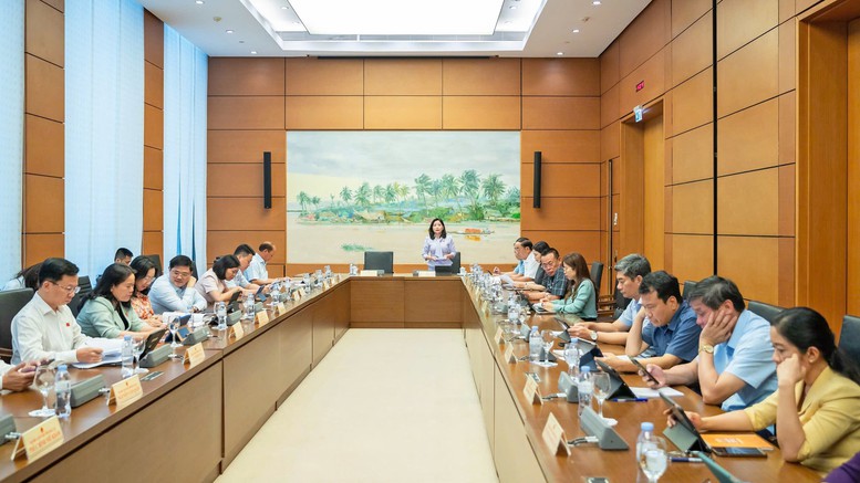 ĐBQH đề nghị tăng mạnh chế tài hình sự, xử nặng tội sản xuất, buôn bán hàng giả