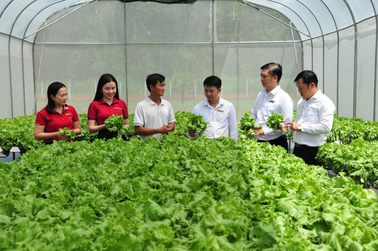 Việc tích cực triển khai cung ứng vốn tín dụng ưu đãi phục vụ ngành nông, lâm, thủy sản là cam kết cụ thể của Agribank đồng hành tháo gỡ khó khăn cho người dân, DN, kiên định sứ mệnh phục vụ phát triển "Tam nông" phát huy vai trò trụ đỡ của nền kinh tế, góp phần thúc đẩy tăng trưởng kinh tế đất nước