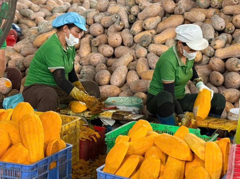 Bên cạnh nhiều ngành hàng nông, lâm thủy sản tăng cao thì mặt hàng rau quả giảm 16% trong 5 tháng đầu năm - Ảnh: VGP/Đỗ Hương Bên cạnh nhiều ngành hàng nông, lâm thủy sản tăng cao thì mặt hàng rau quả giảm 16% trong 5 tháng đầu năm - Ảnh: VGP/Đỗ Hương