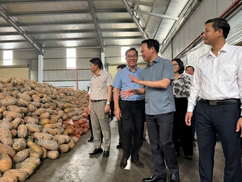 Xuất khẩu nhiều sản phẩm nông sản chủ lực tăng giá trị