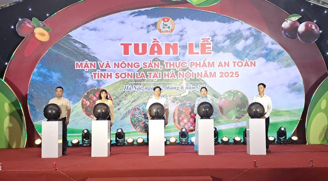 Quảng bá mận và nông sản an toàn tỉnh Sơn La đến người dân Thủ đô