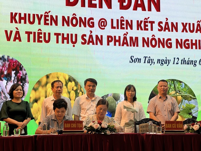 Lễ ký kết biên bản ghi nhớ hợp tác tiêu thụ sản phẩm của HTX sản xuất, kinh doanh rau củ quả an toàn và du lịch làng nghề sinh thái Tâm Anh với hộ bà Khuất Thị Hà (xã Xuân Khanh). Ảnh: VGP/Thiện Tâm Lễ ký kết biên bản ghi nhớ hợp tác tiêu thụ sản phẩm của HTX sản xuất, kinh doanh rau củ quả an toàn và du lịch làng nghề sinh thái Tâm Anh với hộ bà Khuất Thị Hà (xã Xuân Khanh). Ảnh: VGP/Thiện Tâm