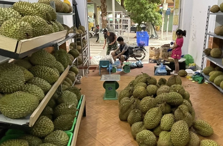 Xuất khẩu sầu riêng đông lạnh tăng 3 lần