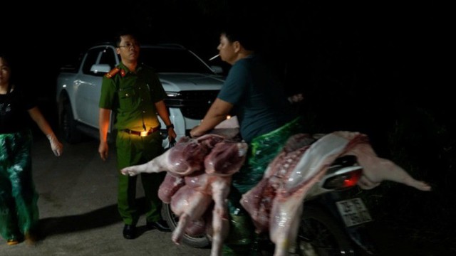 Lực lượng chức năng phát hiện hành vi vận chuyển lợn bệnh mang ra chợ tiêu thụ. Ảnh: Công an TP. Hà Nội Lực lượng chức năng phát hiện hành vi vận chuyển lợn bệnh mang ra chợ tiêu thụ. Ảnh: Công an TP. Hà Nội