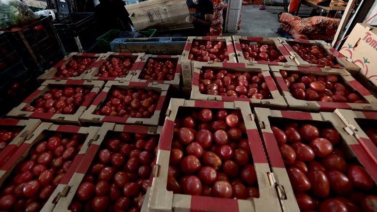Ảnh: AFP/Getty Ảnh: AFP/Getty