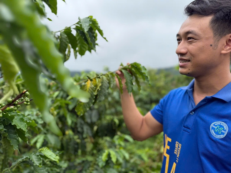 Cà phê Việt Nam hướng tới phân khúc cao cấp