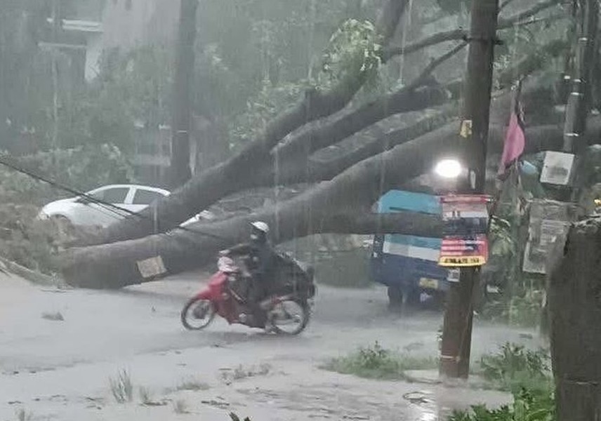 Hà Nội sẵn sàng ứng phó với bão số 3