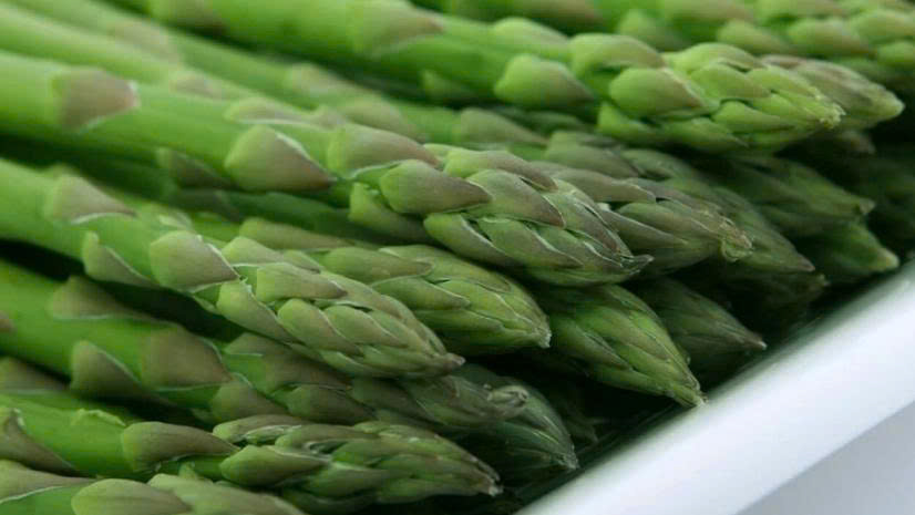 Một loại rau phổ biến ở Việt Nam, được gọi là “rau hoàng đế” nhờ công dụng tuyệt vời với sức khỏe