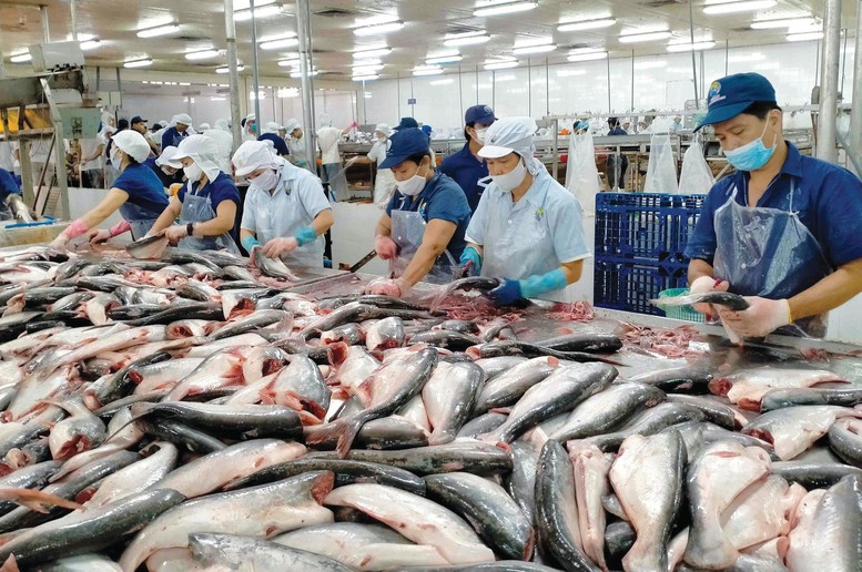 Các chuyên gia khuyến nghị, DN thủy sản cần quan tâm, khai thác tốt hơn thị trường nội địa. Các chuyên gia khuyến nghị, DN thủy sản cần quan tâm, khai thác tốt hơn thị trường nội địa.