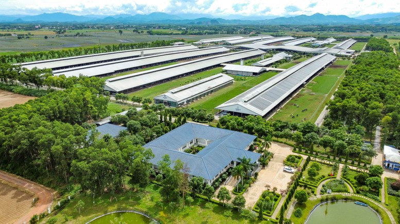 Hệ thống 15 trang trại đạt chuẩn Organic châu Âu và Global S.L.P là nền tảng giúp Vinamilk chủ động nguồn nguyên liệu chất lượng cao - Ảnh: VGP/Minh Anh
