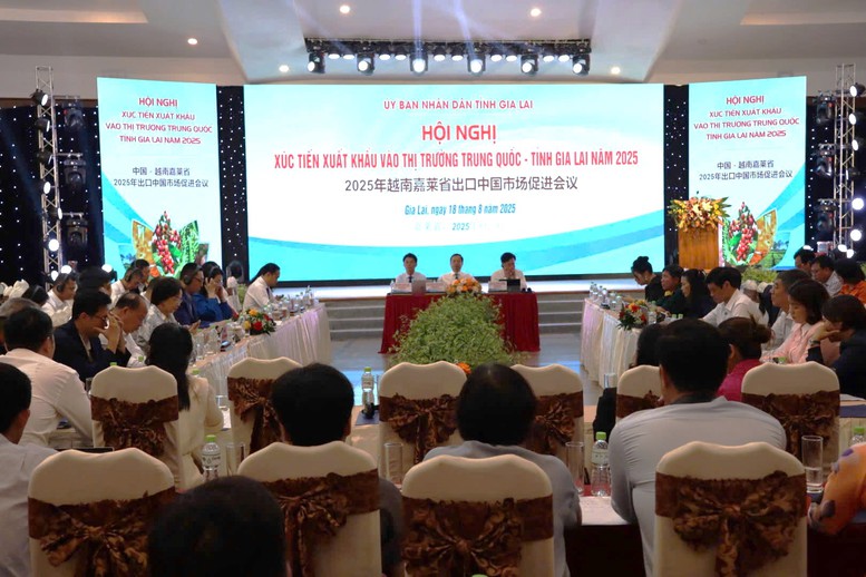 Quang cảnh hội nghị