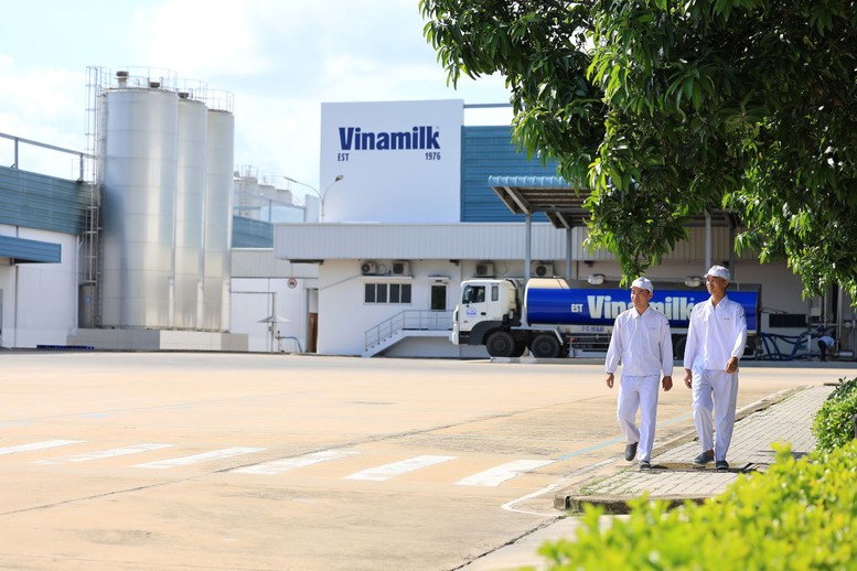 Vinamilk là doanh nghiệp sữa đầu tiên sở hữu cả trang trại và nhà máy đạt trung hòa carbon theo tiêu chuẩn PAS 2060:2014 - Ảnh: VGP/ Minh Anh