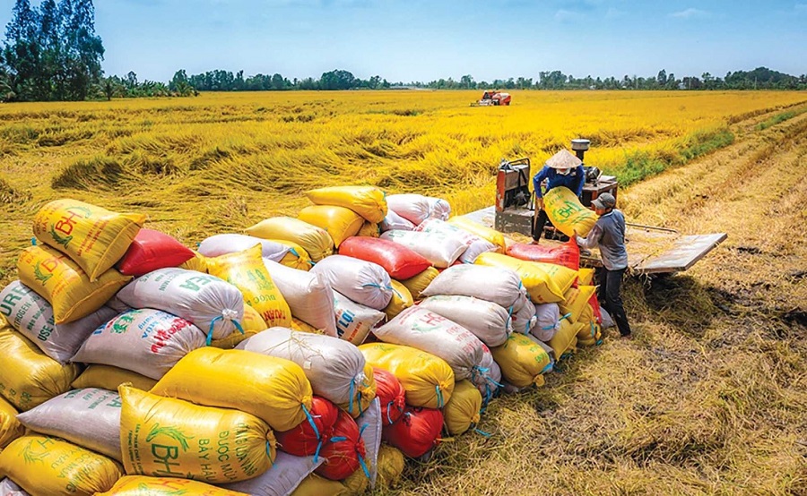 Công điện của Bộ Công Thương về tăng cường ổn định thị trường gạo