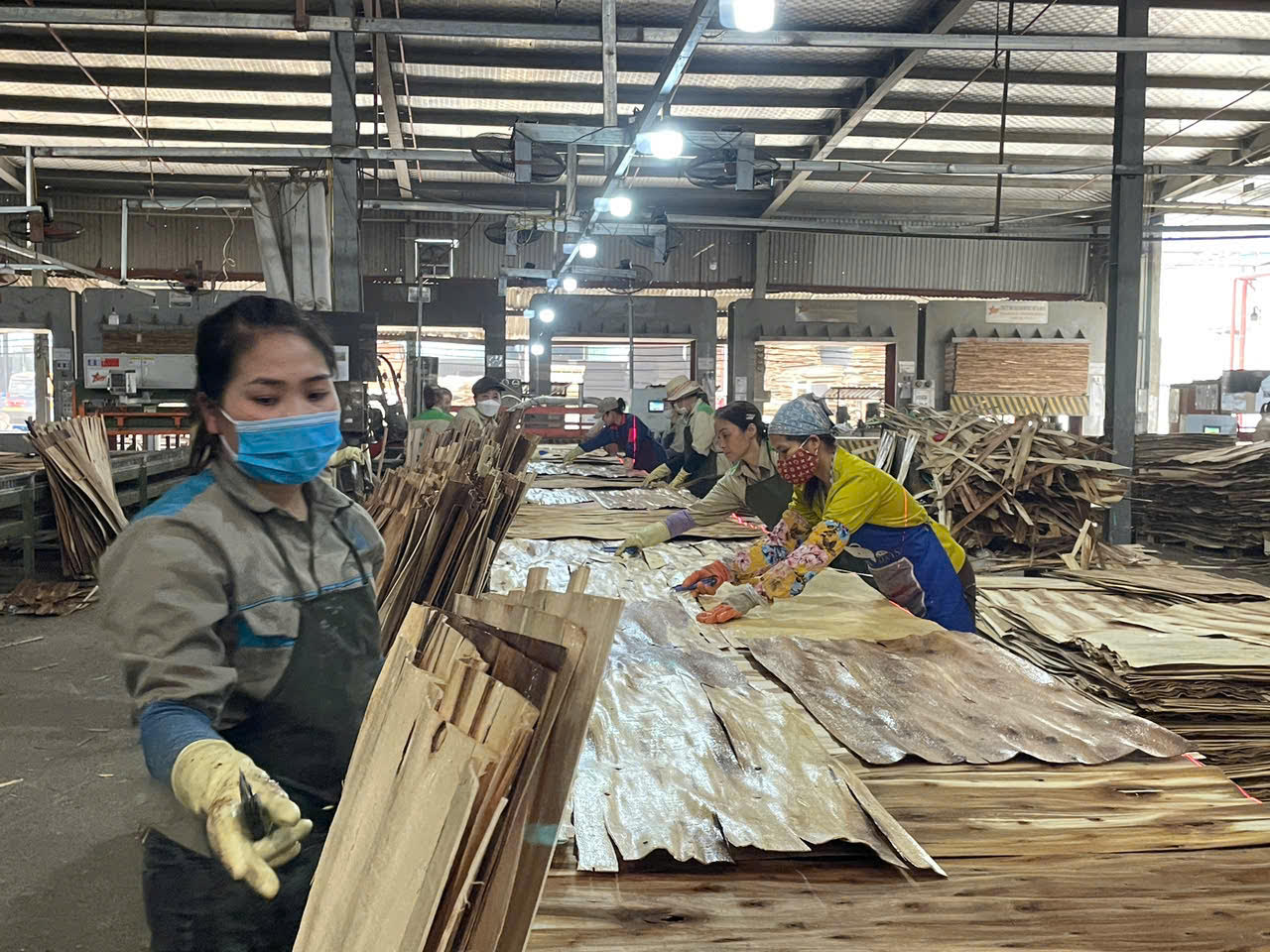 Tăng trưởng kinh tế Việt Nam năm 2025 dự báo 6,7%
