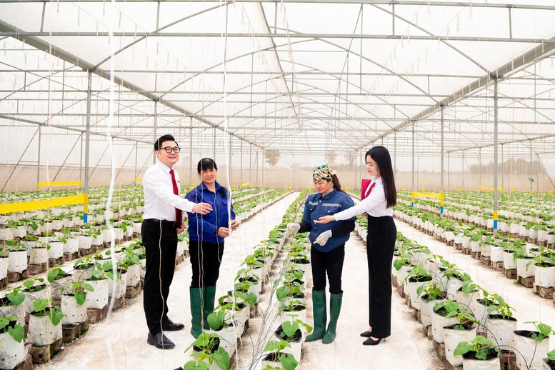 Agribank tăng cường nguồn lực cho khu vực “Tam nông” khẳng định cam kết đồnghành cùng các địa phương trong việc lan tỏa tài chính toàn diện, hướng đến một nềnkinh tế bao trùm và phát triển bền vững