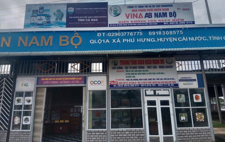 HTX Dịch vụ nông nghiệp Nam Bộ vận hành công nghệ nuôi cua lột bằng thay đổi môi trường nước - Ảnh: VGP/LS