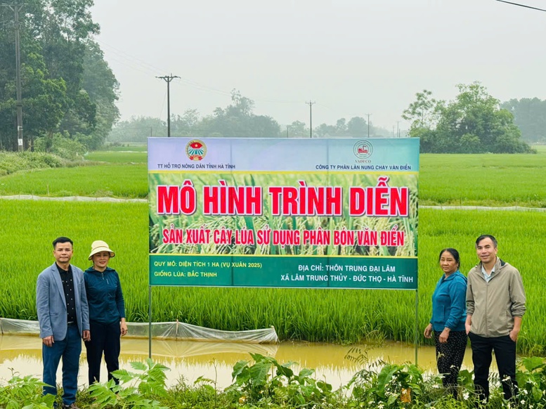 Mô hình trình diễn sản xuất cây lúa sử dụng phân bón Văn Điển tại Hà Tĩnh. Mô hình trình diễn sản xuất cây lúa sử dụng phân bón Văn Điển tại Hà Tĩnh.