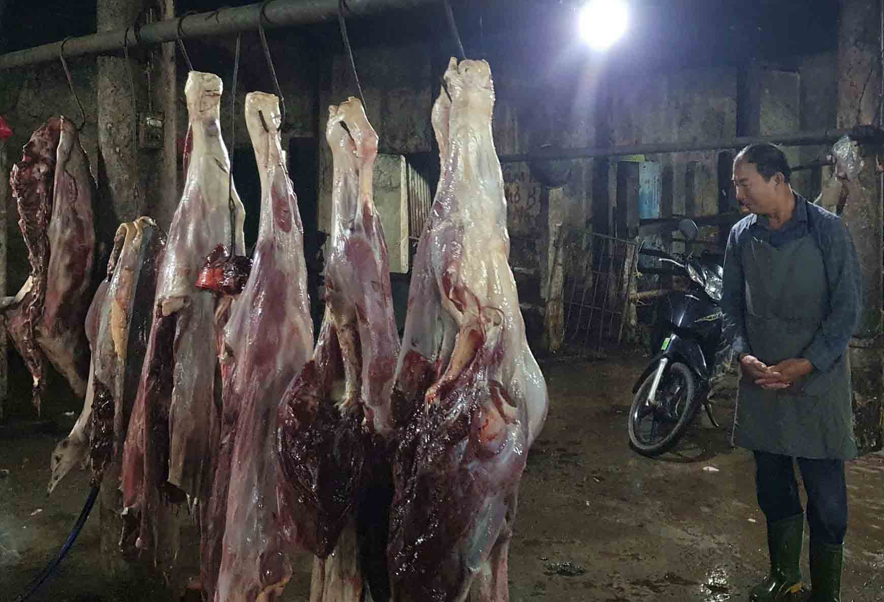 Mua, bán trâu chết đã bốc mùi hôi thối