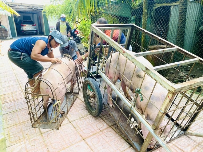 Hà Nội quyết tâm siết chặt quản lý thực phẩm, xử lý dứt điểm lò mổ tự phát vào năm 2030